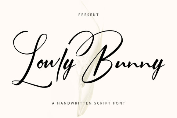 Lowly Bunny: A Elegant Script Font